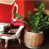Deco Colchagua - Imagen 4