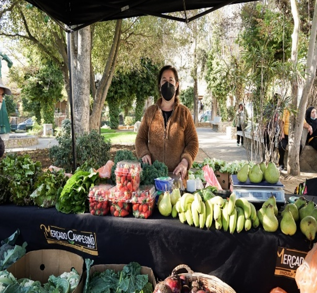 Feria del Mercado Campesino