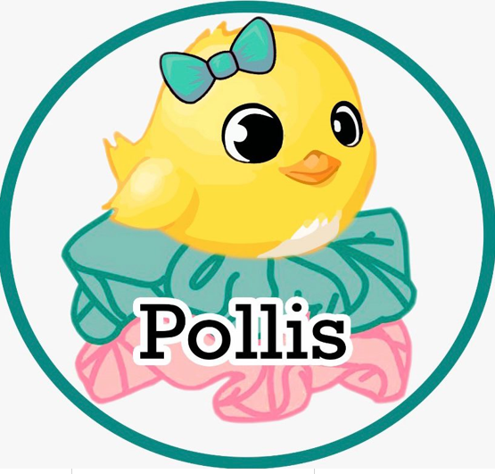 Tienda Pollis